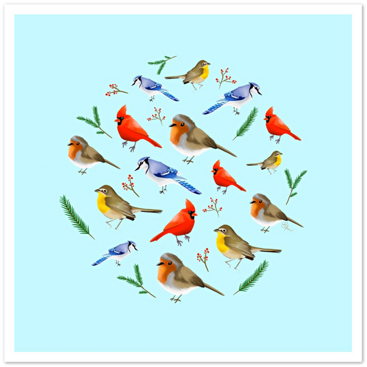 Pack of 10 Local Birds cards (2-sided, white envelopes) (US & CA)